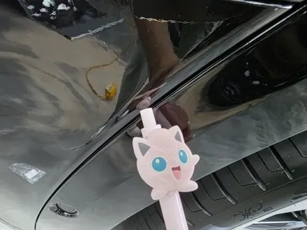 평택 팰리세이드 하버캠프 세라믹본드와 모노륨 본넷 라이트 PPF 사이드스텝 시공까지 / 평택시 칠괴동