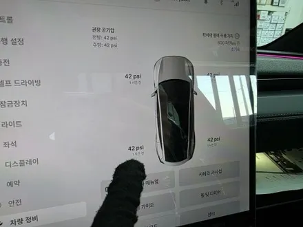 테슬라 모델Y 주니퍼 솔라가드 최상급 썬팅 VX 평택 신차패키지 시공 / 평택시 칠괴동