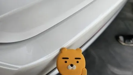 팰리세이드 레인보우 프리미엄 IS100,PPF 4종, 유리막 코팅 신차패키지 시공현장 ! / 평택시 칠괴동