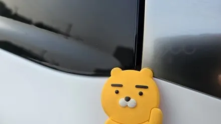 안성 신차패키지 카니발 레인보우 프리미엄 VS200 튜온 사이드스텝 시공 / 평택시 칠괴동