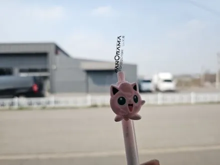 시인성과 열차단률까지 최고인 파노라마 럭스 R 카니발 시공 후기 / 평택시 칠괴동
