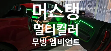 머스탱 엠비언트  (부산엠비언트) / 부산 강서, 김해, 창원
