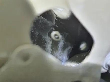 혼다 cr-V 쓰리원샷 투명언더코팅 , JDK활성탕 외기1차필터 , 파워증강 시스템 아이파워 3600 작업후기 / 부산 강서, 김해, 창원