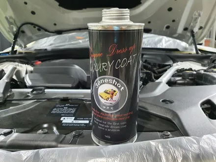 BMW  520i  쓰리원샷 투명언더코팅 (부산 투명언더코팅), 기능성 엔진룸코팅 / 부산 강서, 김해, 창원