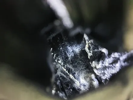 혼다 cr-V 쓰리원샷 투명언더코팅 , JDK활성탕 외기1차필터 , 파워증강 시스템 아이파워 3600 작업후기 / 부산 강서, 김해, 창원