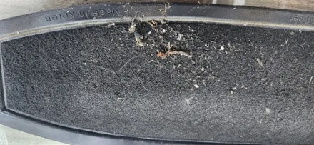 르노삼성 QM6 외부 냄새 유입 (JDK 활성탄 외기 1차 필터 시공 후 1년) / 부산 강서, 김해, 창원