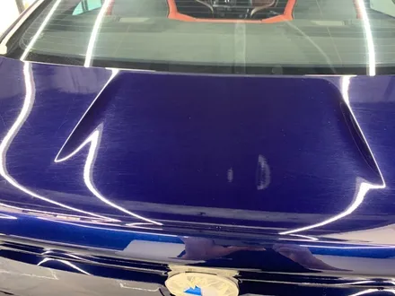 [MASTERPIECE] BMW M4 광택 + 유리막 코팅 시공 / 고양,일산,김포,파주