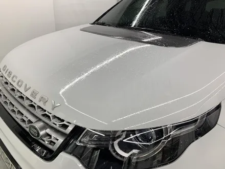 [MASTERPIECE] 디스커버리 스포츠 에이버리 블랙 컬러 PPF + 3M 2080 유광 블랙 블랙팩 + 그릴 도색 + 블랙 레터링 교체 시공 (고양시 덕양구 삼송 원흥 일산) / 고양,일산,김포,파주