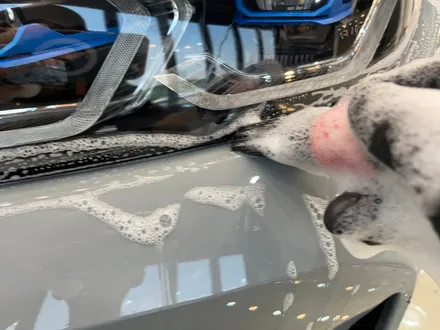인천 디테일링세차/BMW M4 디테일링/석회물은 이렇게 지우세요! / 인천, 부평, 부천