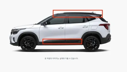 인천 루프스킨 / 셀토스 투톤 루프스킨 / 남동구 남촌동