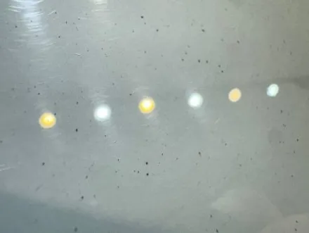 카이엔 페인트 제거 및 실내 집중 케어 : 자동차 페인트 제거 / 부산 남구