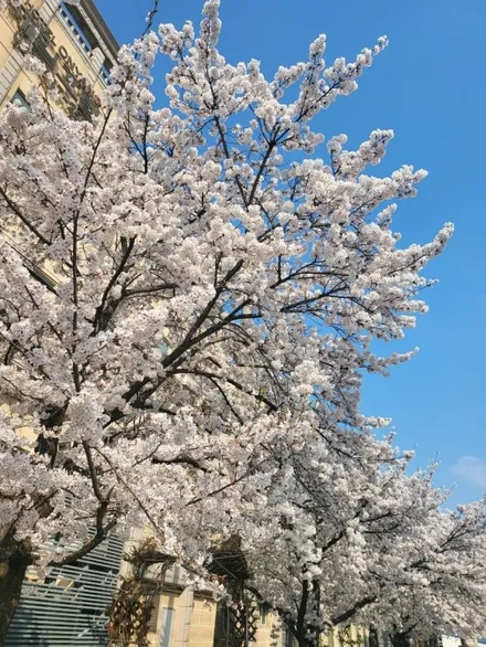 스포티지 파인뷰아쿠아시공 / 아산 모종동