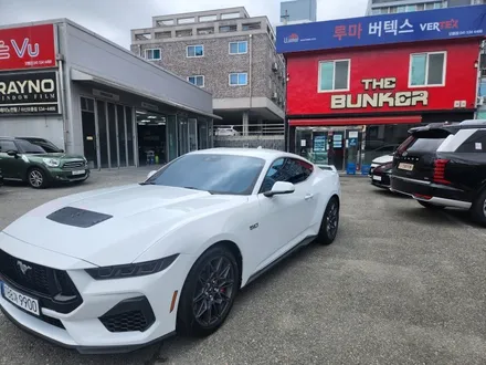 [공지] 머스탱 GT 파인뷰 아쿠아 선팅 / 아산 모종동