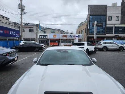 [공지] 머스탱 GT 파인뷰 아쿠아 선팅 / 아산 모종동