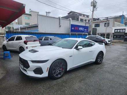 [공지] 머스탱 GT 파인뷰 아쿠아 선팅 / 아산 모종동
