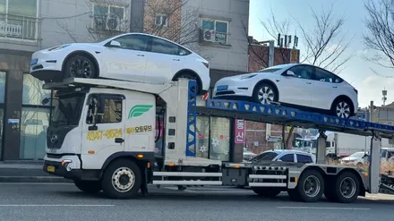 대전테슬라 / 2024 테슬라 모델Y RWD 썬팅,PPF 이렇게 하세요!!