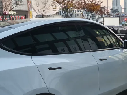 대전 모델Y RWD썬팅 /세인트아모 마스터시공점 90모터스
