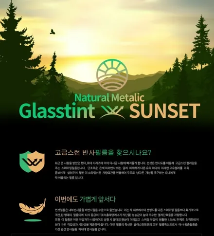 대전 모하비 썬팅 재시공!!