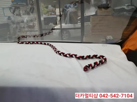대전더카멀티샵에서 올뉴카니발 글라스틴트썬팅,블랙박스,인스타세로그릴 작업하자. 1탄!!