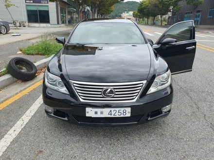 세인트아모 캐럿 / 반반사썬팅으로 새롭게 태어난 렉서스LS460