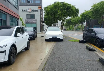 [공지] 대전 테슬라 주니퍼 신차패키지 / 옵티멈썬팅과 생활보호PPF 합리적인 가격으로 시공하자