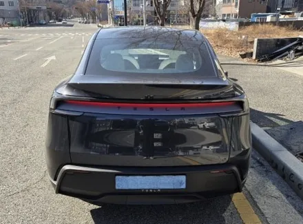 대전 모델Y주니퍼틴팅 추천 / 넥스필 마스터피스