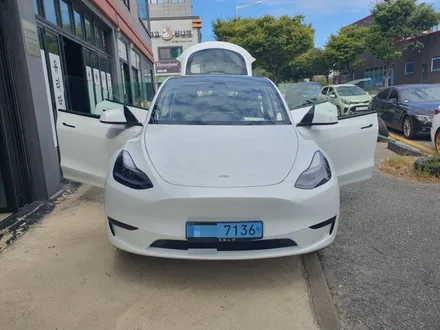 대전 2023 테슬라 모델Y RWD 출고하면 꼭 해야할것!!