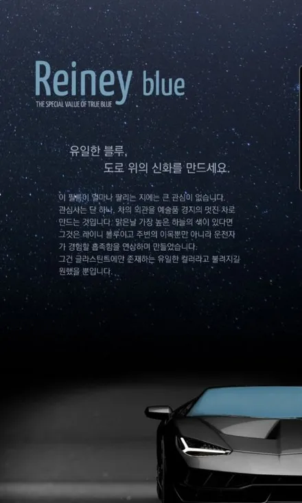 대전 글라스틴트 레이니블루전문 더카멀티샵에서 스팅어 신차검수 및 썬팅,블랙박스 장착