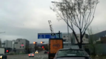 대전 글라스틴트 레이니블루 반사썬팅은 G80 비크블랙 색상에 잘 어울려요