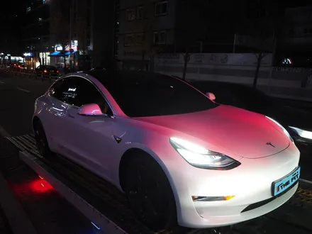 미래 자동차 테슬라 모델 3  선팅 시공 아무곳에서나 받지 마세요!! / 강남 송파 서초