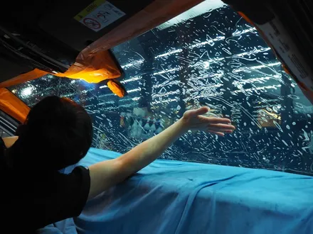 카이엔 쿱!! 강남 신차패키지 믿고 맡길 수 있는 곳 소개 드려요~ / 강남 송파 서초