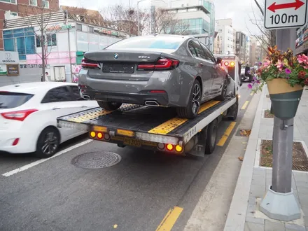 BMW 530e PHEV~ 솔라가드 프리미엄 보그 시공 완죤 강추요!! / 강남 송파 서초