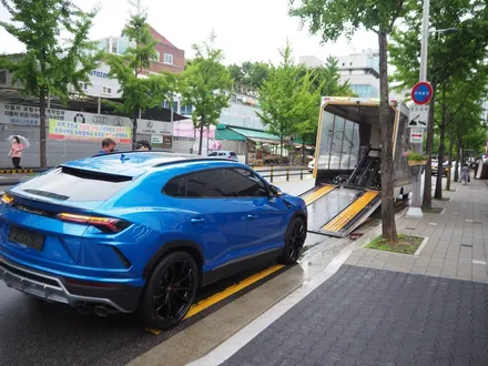 람보르기니 우루스!! PPF 전체 시공 준비 과정부터 시공까지 완벽하게 작업해 드립니다~ / 강남 송파 서초