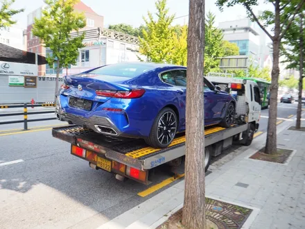 BMW M850i, 신차패키지 시공 A부터 Z까지 제대로 시공 받는법 공유~ / 강남 송파 서초