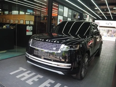 PPF 전체 시공 도장면 보호 목적이 맞죠? / 강남 송파 서초