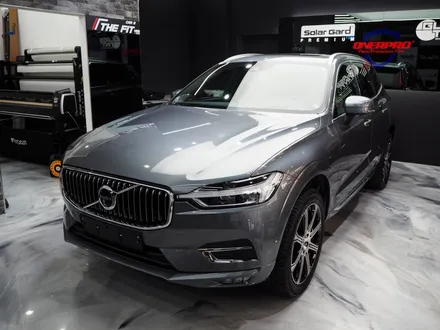 볼보 XC60, 솔라가드 보그 썬팅 추천해요! / 강남 송파 서초