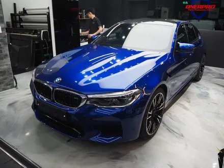 BMW M5! 소문대로 역시 신차패키지는 더핏카샵? / 강남 송파 서초