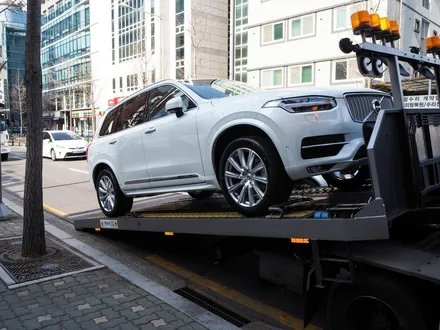 볼보 XC90, 글라스틴트 슈어로 고급스럽게! / 강남 송파 서초