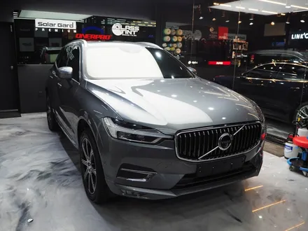 볼보 XC60, 솔라가드 보그 썬팅 추천해요! / 강남 송파 서초