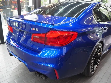 BMW M5! 소문대로 역시 신차패키지는 더핏카샵? / 강남 송파 서초