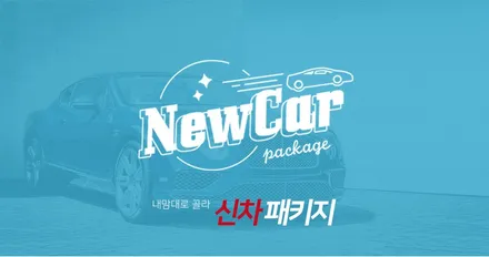 서울 신차패키지 추천 - 더핏카샵 / 강남구 개포동