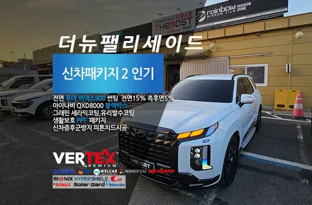 은평구 더뉴팰리세이드 블랙에디션 신차패키지 은평썬팅 더모스트 신차검수 루마버텍스900 유리막코팅 유리발수코팅 PPF  은평구 진관동에서 맡겨주셨습니다 / 고양, 일산, 파주, 은평