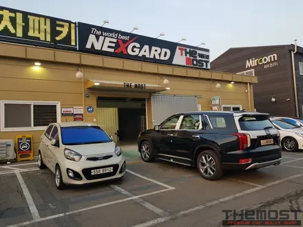 THE MOST 팰리세이드 신차패키지 입고! 넥스가드 프리미엄 신차패키지 / 고양시 화전동