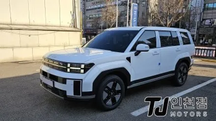 인천 싼타페 신차패키지 디테일 검수, 레이노 썬팅까지 완벽하게 튜닝 (부평 부천 김포 안산 시흥) / 인천 부평구