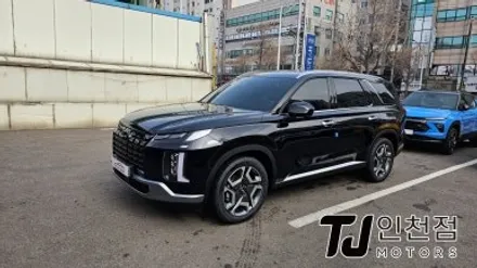 인천 팰리세이드 신차패키지 디테일검수, 루마 썬팅 딱 필요한 튜닝만 가격 합리적으로 (부평 부천 김포 안산) / 인천 부평구