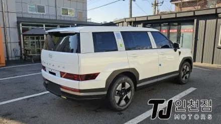 인천 싼타페 신차패키지 디테일 검수, 레이노 썬팅까지 완벽하게 튜닝 (부평 부천 김포 안산 시흥) / 인천 부평구