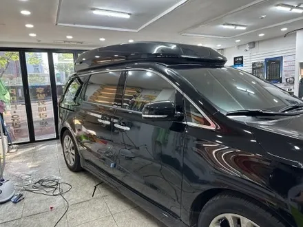 대전 썬팅 전문점 더 틴팅 카니발 하이리무진 전체 재시공 / 대전 동구