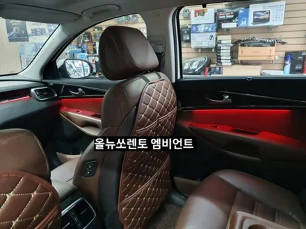 대구 올뉴쏘렌토 엠비언트,해신엠비언트 / 대구, 구미