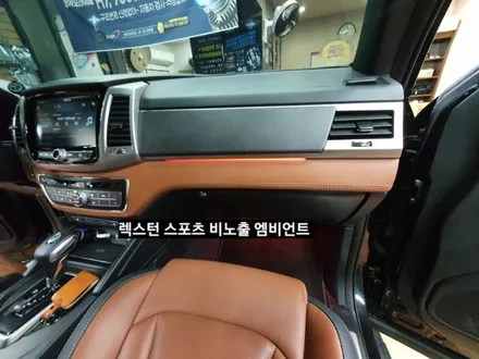 렉스턴스포츠/G4렉스턴 비노출 엠비언트&풋등 / 대구, 구미