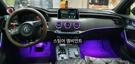 대구 스팅어벤풍구 엠비언트&순정데쉬보드하단엠비언트이식&풋등 / 대구, 구미